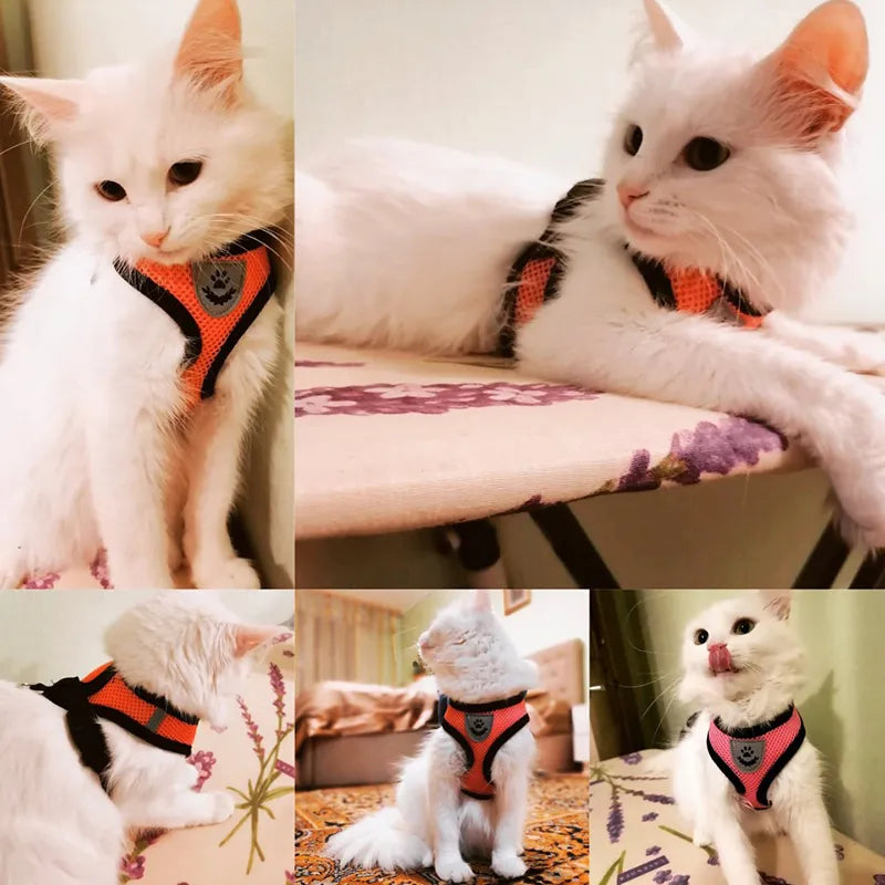 Pets Harness Vest.