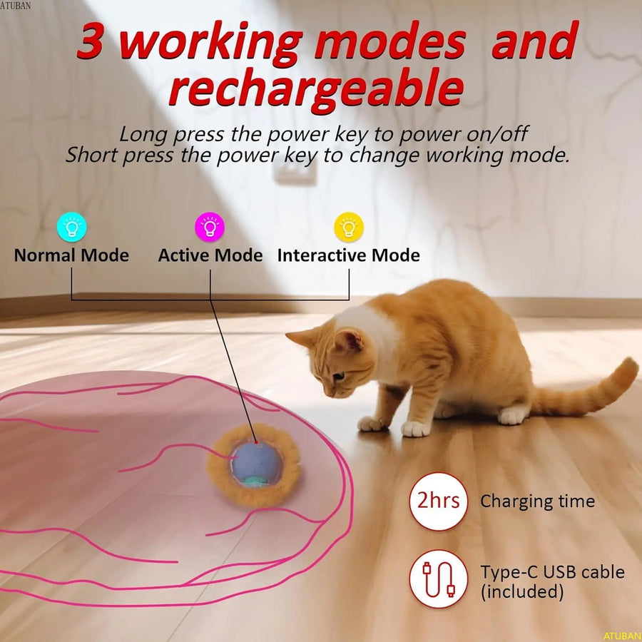 Electric Cat Toys, Interactive Hide and Seek Kitten Toy.