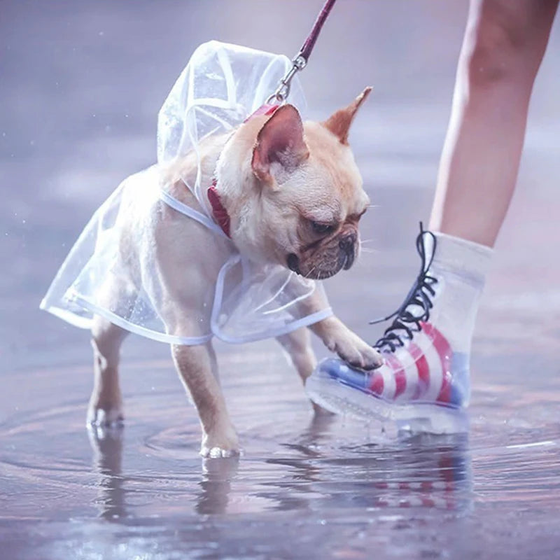 Dog Raincoat for Small to Medium Dogs