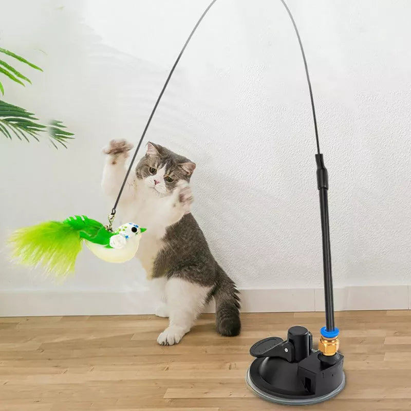 Interactive Cat Toy