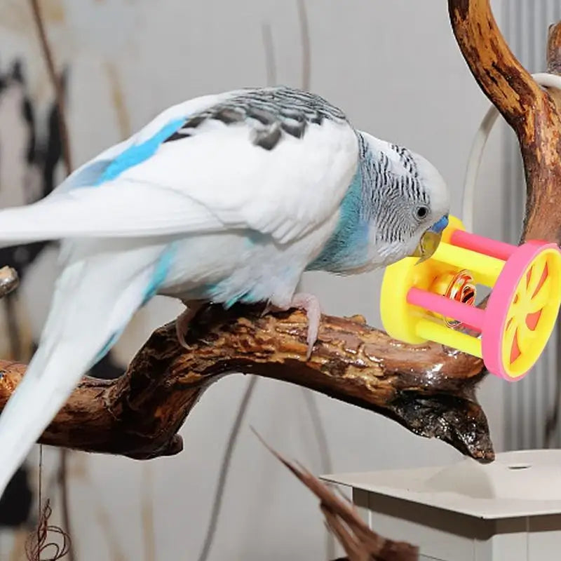 Small parrot hanging hammock with bell perch ladder toys.