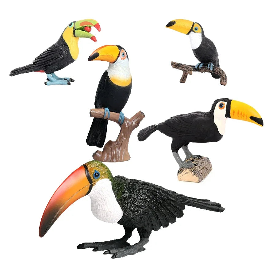 Simulation Original Wild Bird Animals Toucan Figurines Toy For Kids