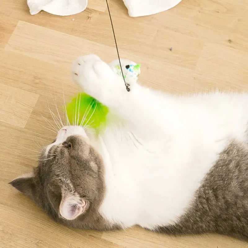 Interactive Cat Toy