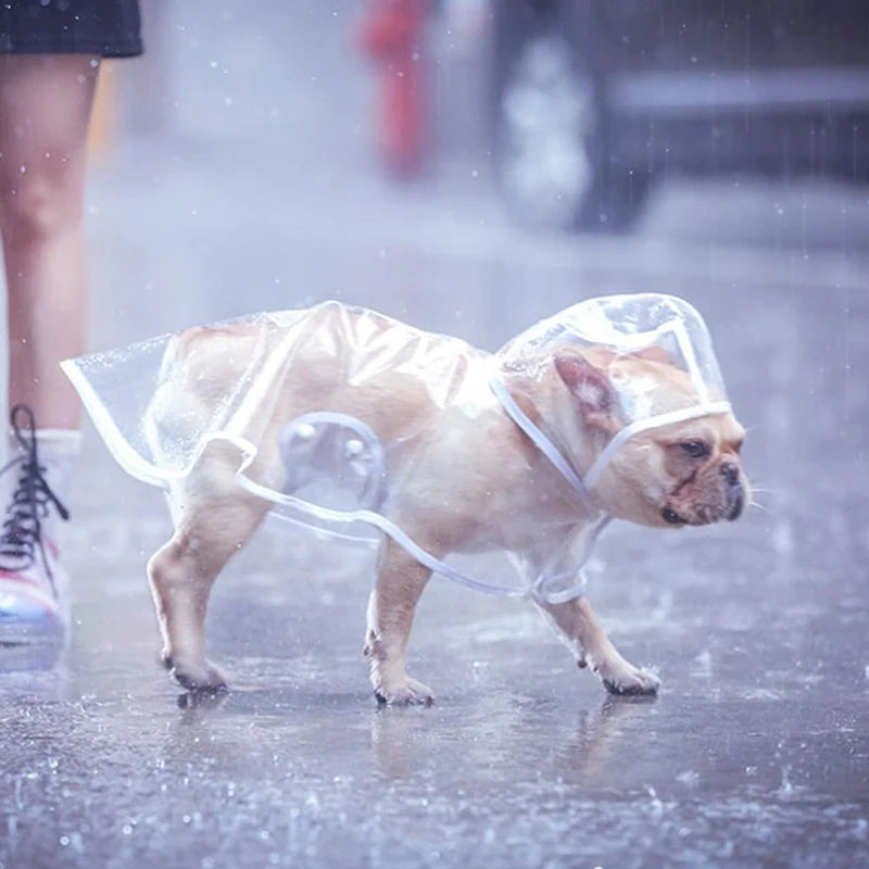 Dog Raincoat for Small to Medium Dogs