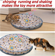 Electric Cat Toys, Interactive Hide and Seek Kitten Toy.