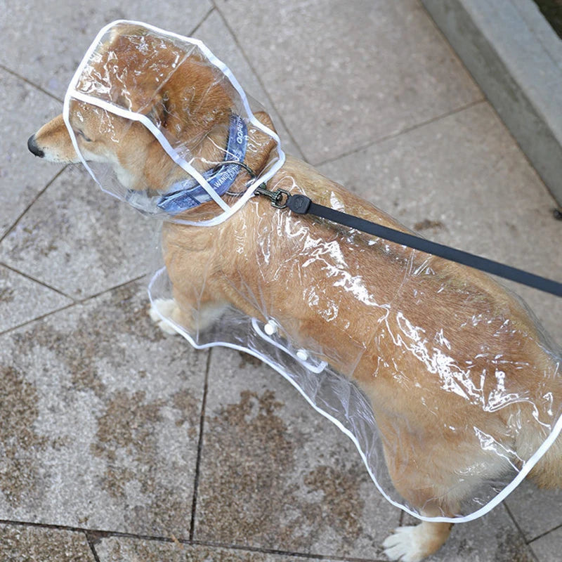 Dog Raincoat for Small to Medium Dogs