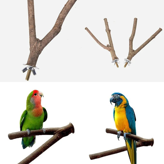 Miniature parrot branch stand, shelf, rattle, grinding supplies.
