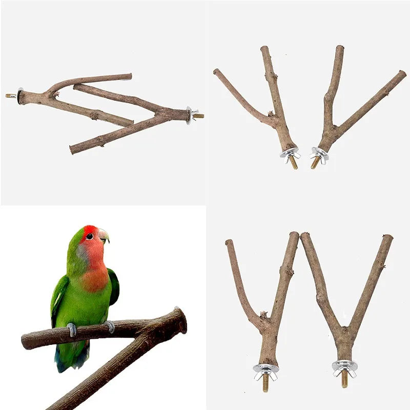 Miniature parrot branch stand, shelf, rattle, grinding supplies.