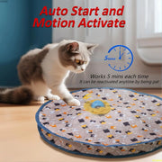 Electric Cat Toys, Interactive Hide and Seek Kitten Toy.