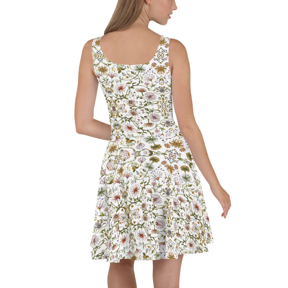 Women All over Print Skater Dress