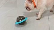 Durable interactive dog toy with treat dispensing for good habits.